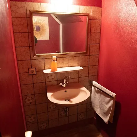 Appartamento Schwarzwaldferienwohnung Oberle Todtnau