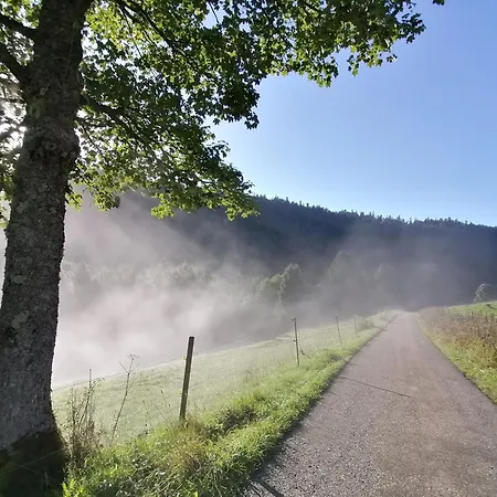 Appartamento Schwarzwaldferienwohnung Oberle