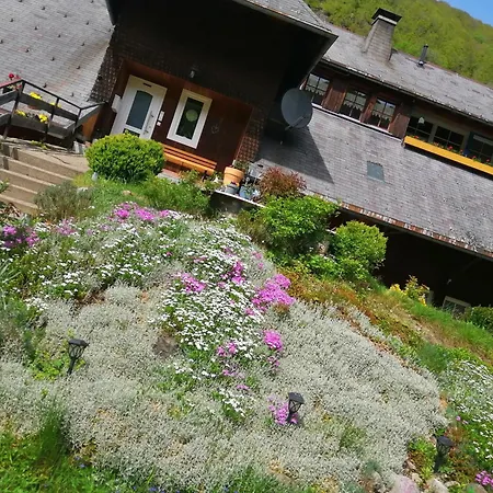 Appartamento Schwarzwaldferienwohnung Oberle *