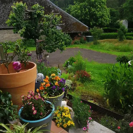 Schwarzwaldferienwohnung Oberle Todtnau