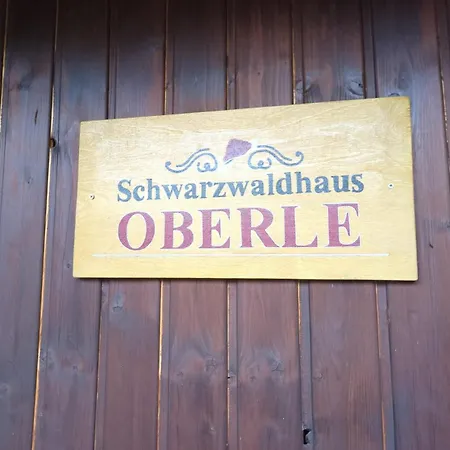 Appartamento Schwarzwaldferienwohnung Oberle Todtnau