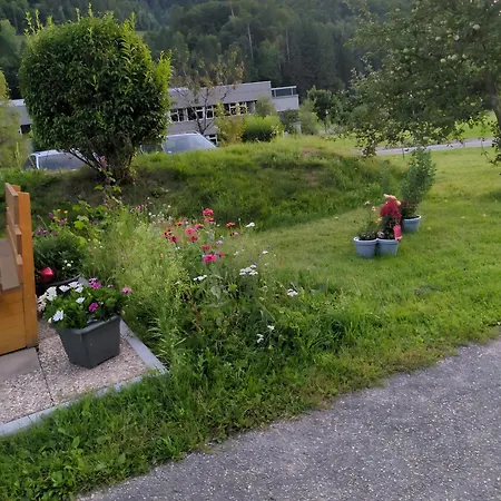 Appartamento Schwarzwaldferienwohnung Oberle Todtnau