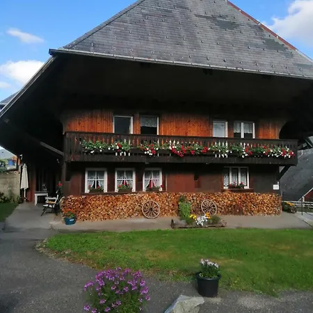Apartment Schwarzwaldferienwohnung Oberle Todtnau