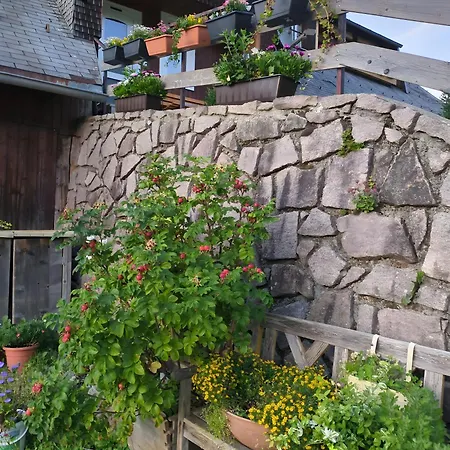Apartment Schwarzwaldferienwohnung Oberle