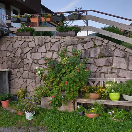 Schwarzwaldferienwohnung Oberle *
